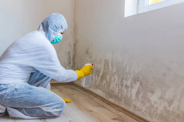 Licensed Mold Testing service in Manchester, KY - WQB Mold Removal