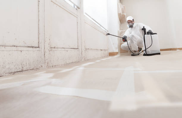 24/7 Emergency Mold Testing experts in Manchester, KY