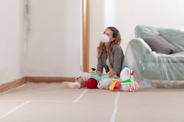 Trusted Mold Testing service in Manchester, KY - WQB Mold Removal