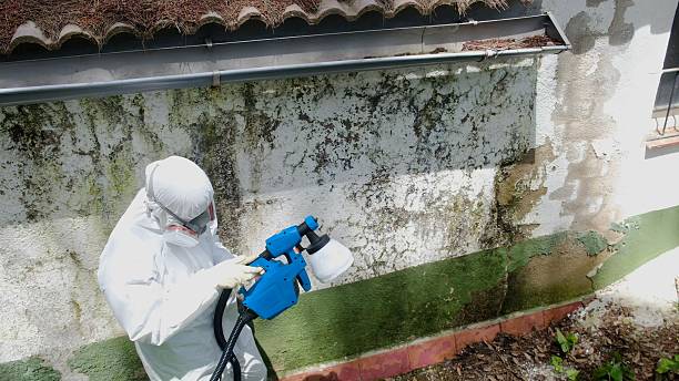 Top rated local Mold Testing specialists in Manchester, KY